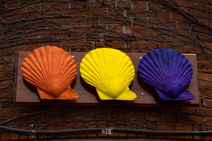 Three Shells
