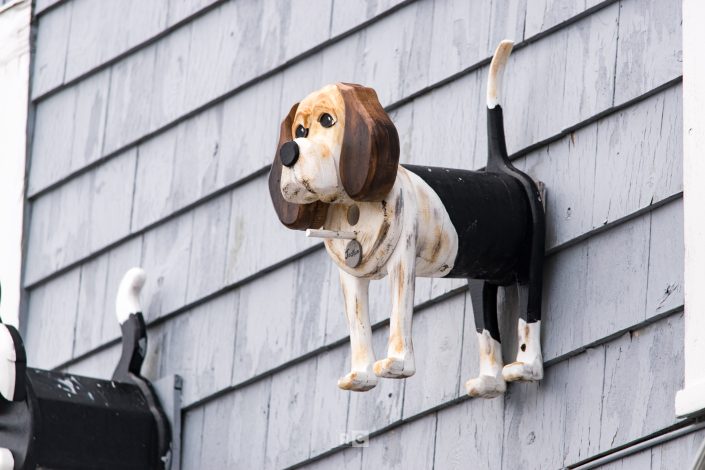 Doggie Bird feeder