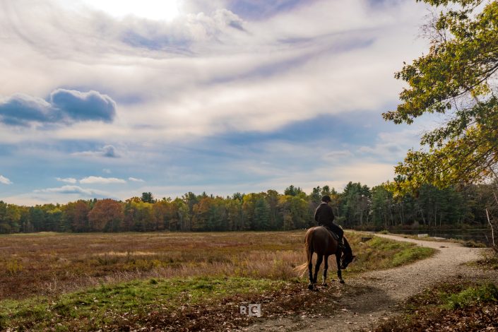 Carlisle Cranberry Bog