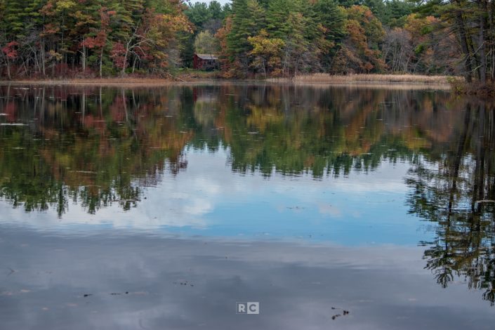 Carlisle Cranberry Bog