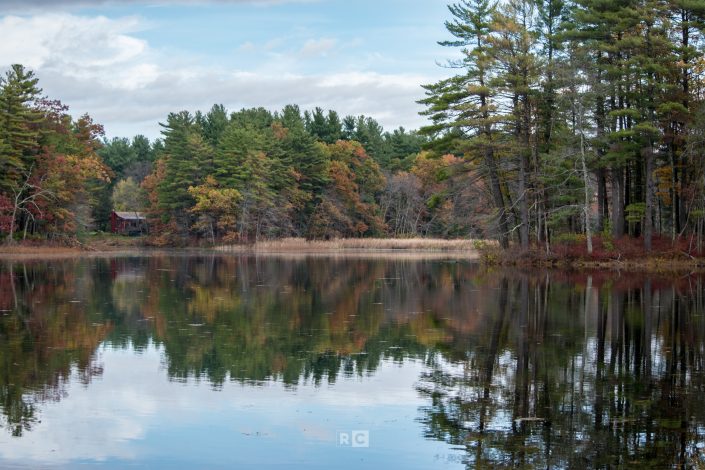 Carlisle Cranberry Bog