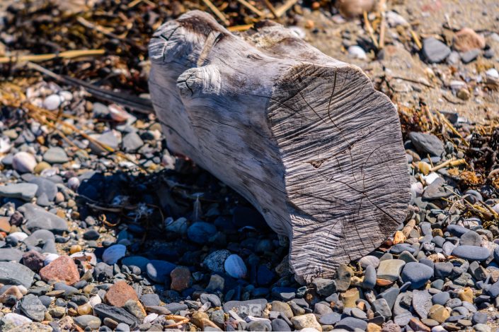 Log