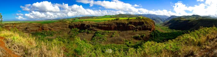 Waimea Canyon Panorama