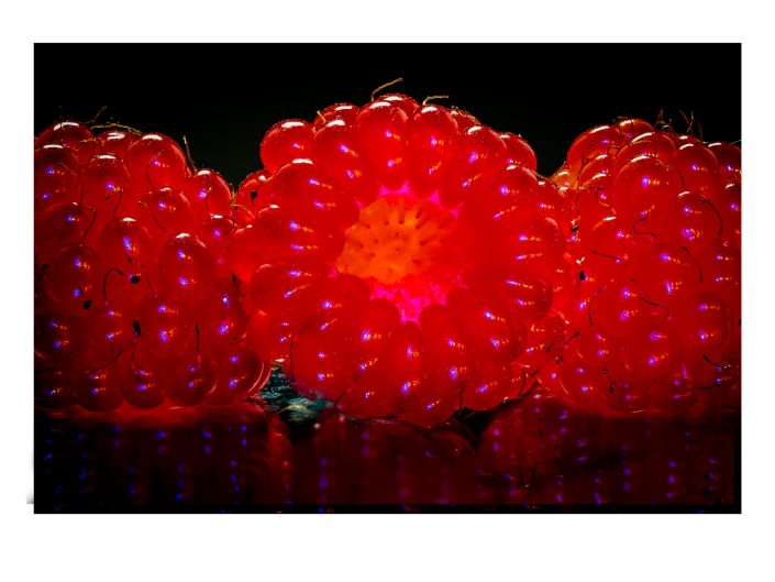 Macro — Summer Fruits