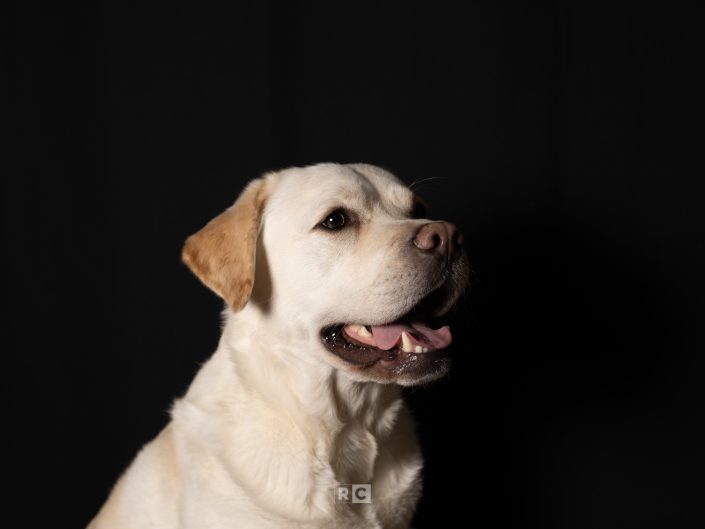 Charlie